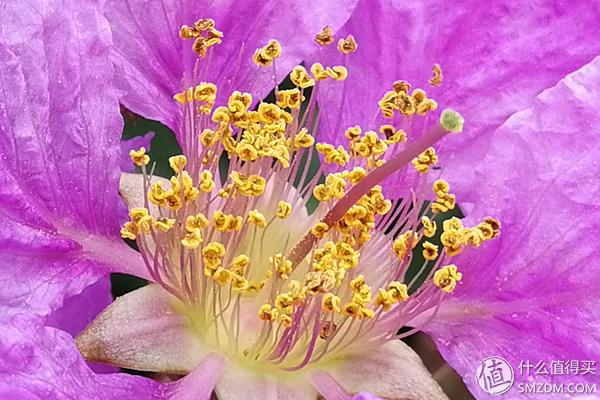 荣耀9尊享版,荣耀9大陆尊享版介绍