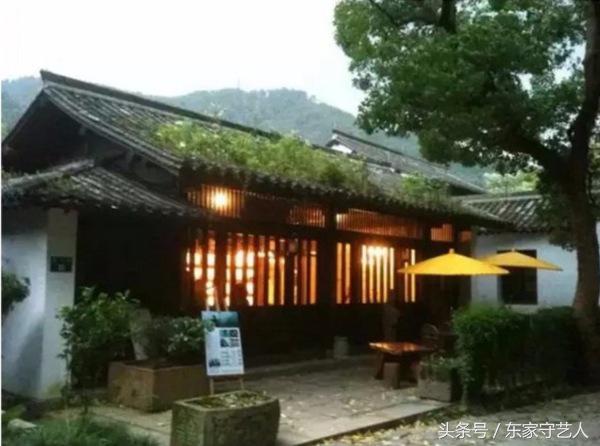 高端的凤凰单丛茶怎么泡都好喝,高香型凤凰单枞