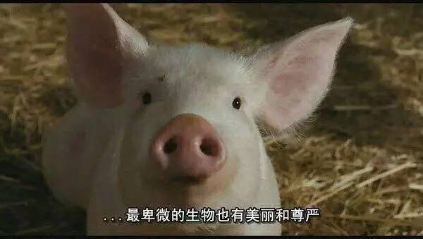 比起只用30块唇膏直播的伊能静，化妆我只服包文婧！