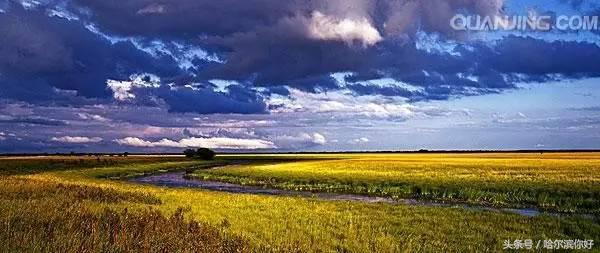 对不起,我要去黑龙江抚远了!