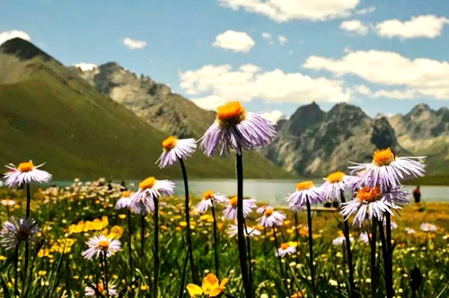 成都到稻城亚丁租越野车价格?