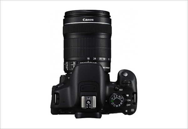 入门级单反相机推荐2021,入门级单反相机推荐排行榜前十名