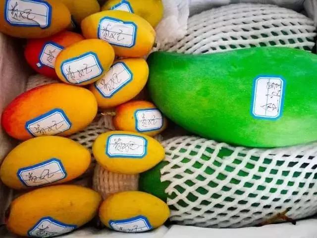 蔷薇水果店~“品控达人”的福音!