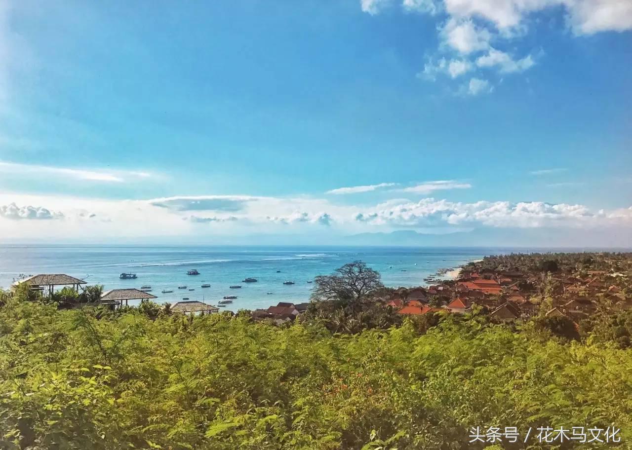 花木马亲子摄影,花木马