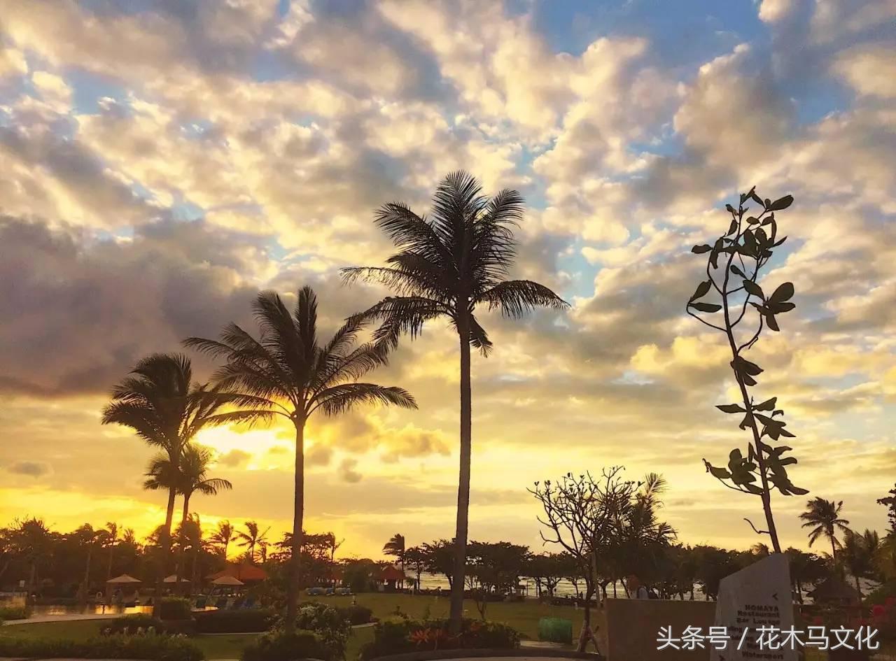 花木马亲子摄影,花木马