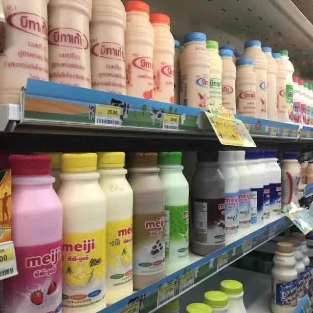 小奋青和小胖妹蜜月旅行普吉岛-美食购物篇终极