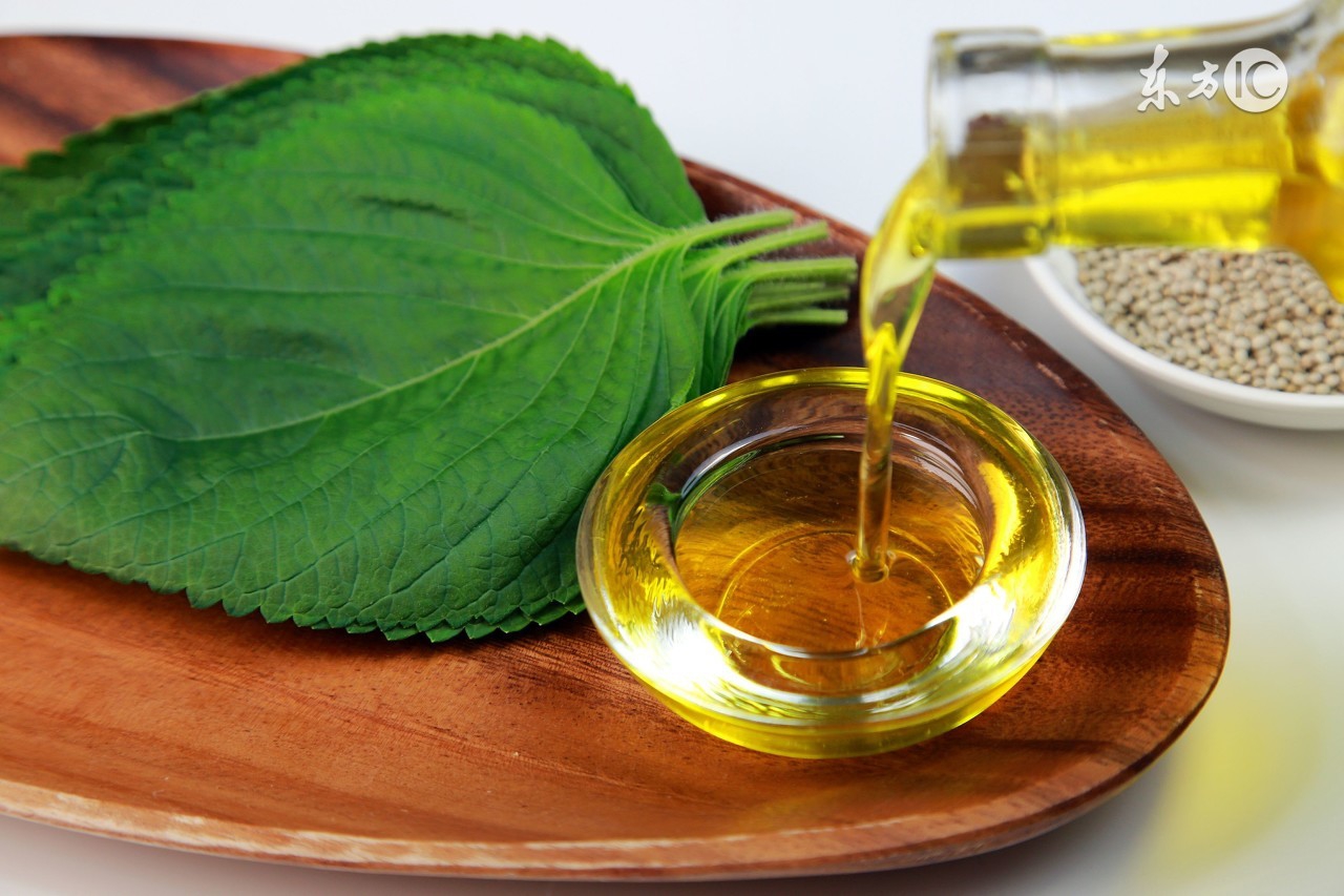 为健康加油短句,为健康加油完整版