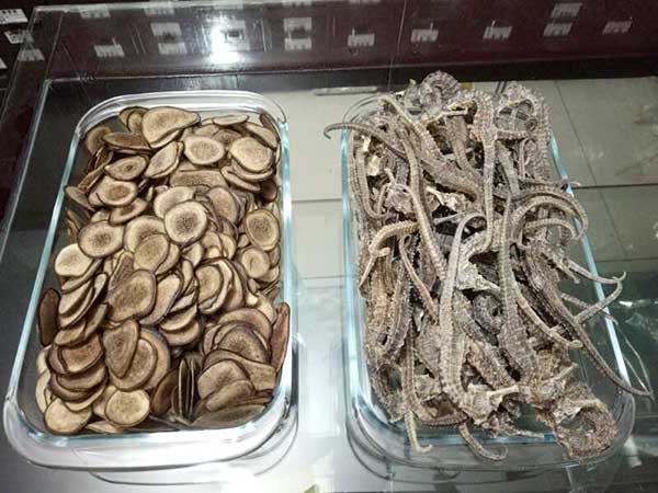 视力需要关怀眼光决定未来！——访武汉大学总裁49班学员万江涛