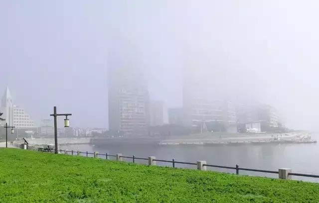 威海雪后现绝美冬景,威海最漂亮的雾