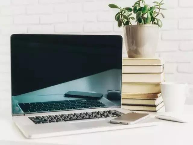 新手如何开一家网上花店,传统花店如何投入线上运营