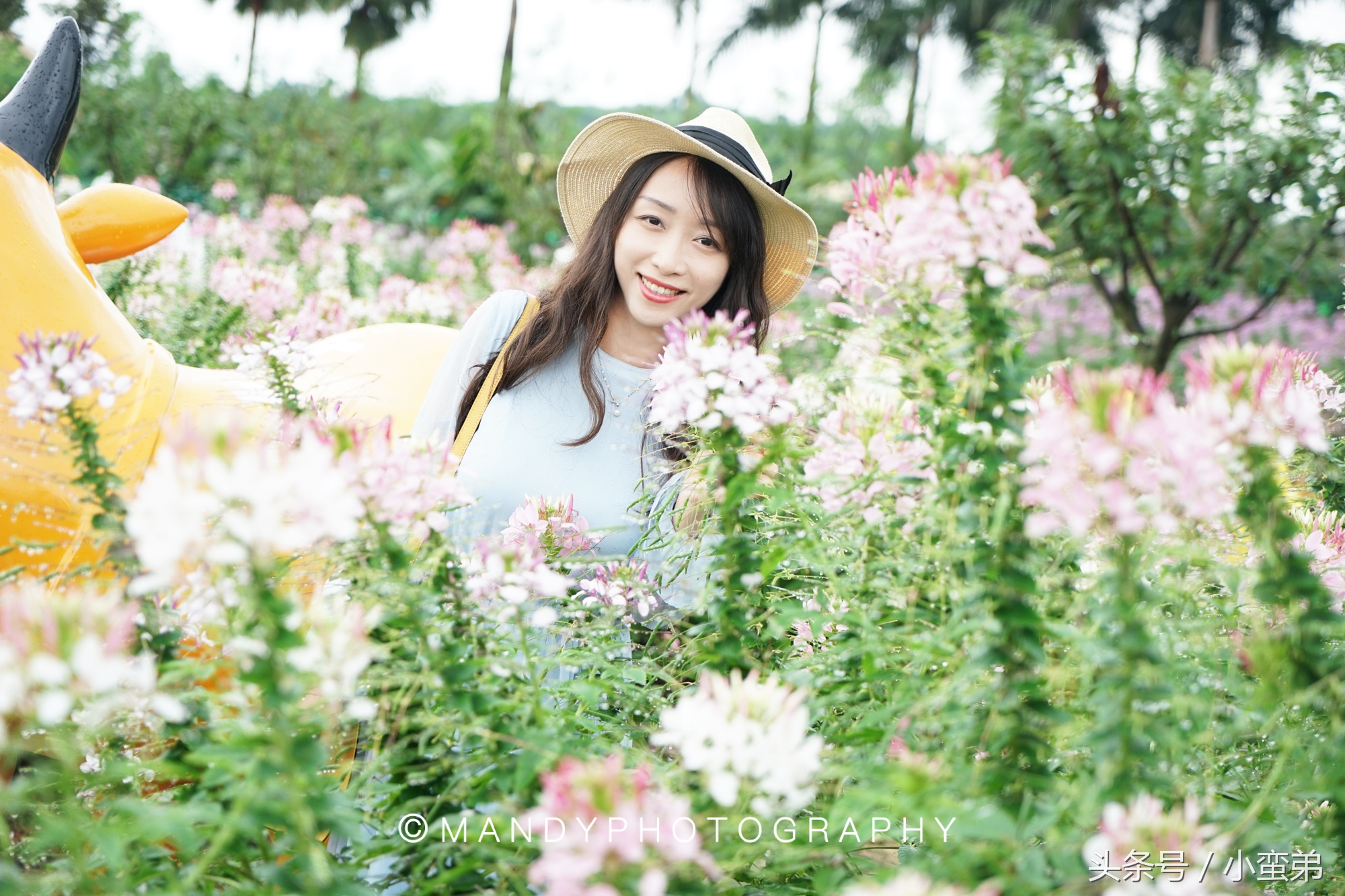 广州周边不为人知的宝藏景点,广州水上乐园旅游景点推荐