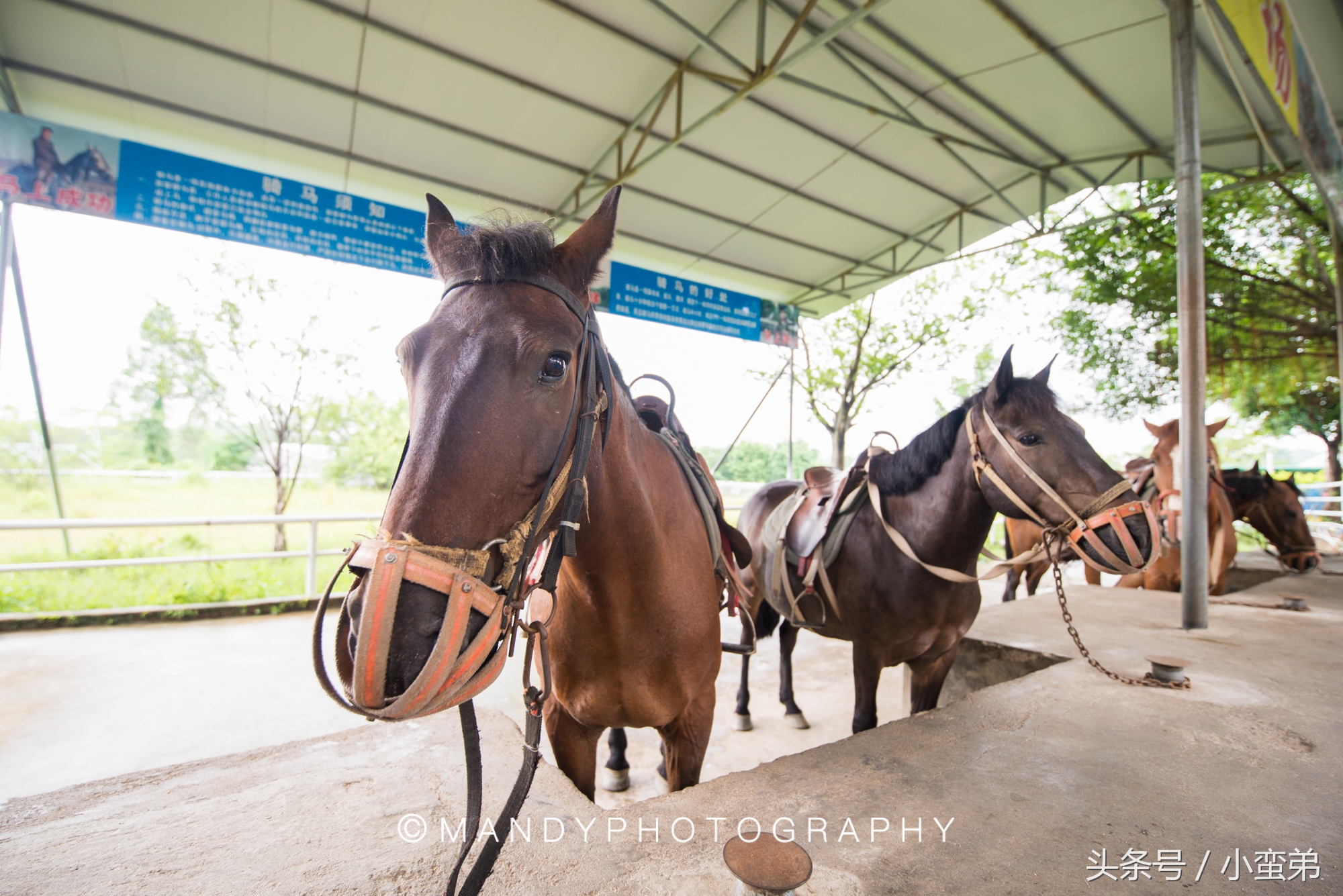 广州周边不为人知的宝藏景点,广州水上乐园旅游景点推荐
