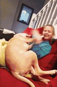 网友把足球PS成猫咪,毫无违和感!看什么看,没猫你踢什么球!