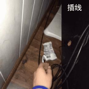 网友把足球PS成猫咪,毫无违和感!看什么看,没猫你踢什么球!