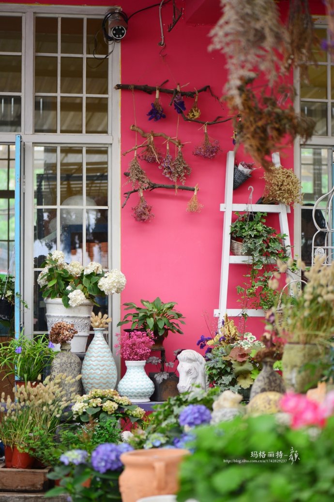 花园拜访,成都玛莉亚色彩花园电话