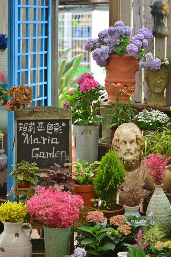 花园拜访,成都玛莉亚色彩花园电话