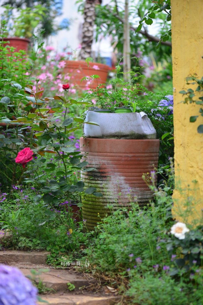花园拜访,成都玛莉亚色彩花园电话