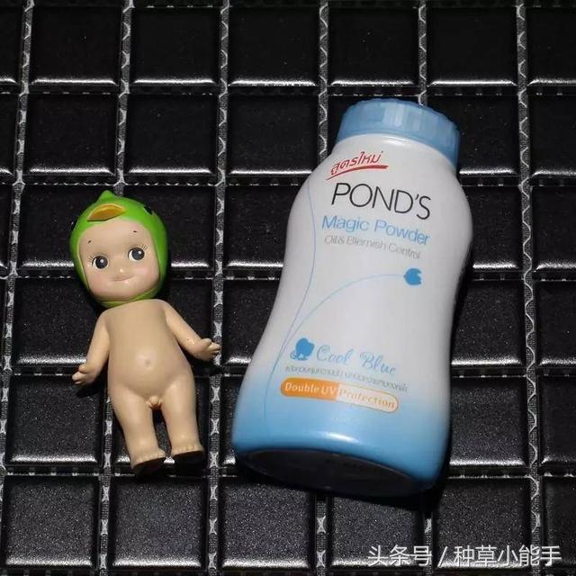 草单:翻包!我的日常包包里究竟装着什么?