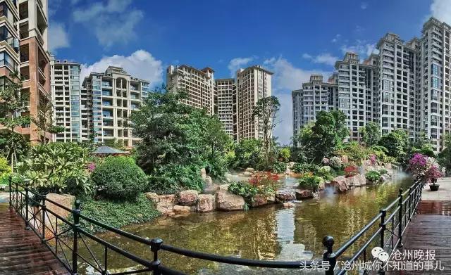 沧州二手房急出售高新区,沧州三月份二手房价格