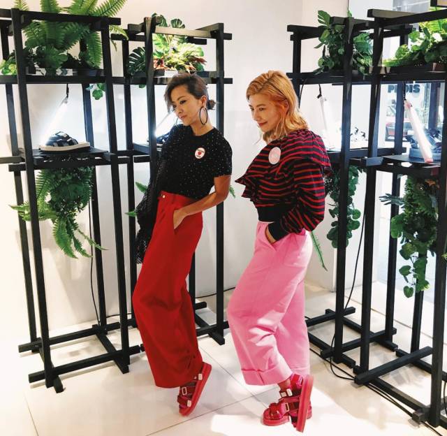 香港大牌包哪里买便宜,香港必买大牌包