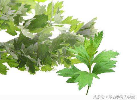 怎样去新生儿热痱子,新生儿身上痱子怎么去除