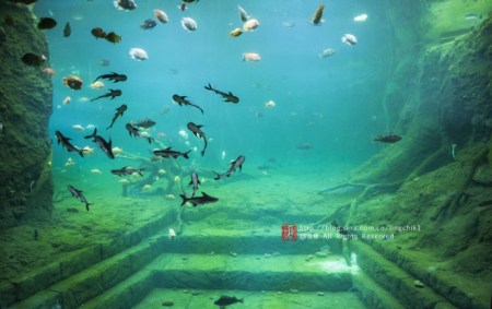 珠海长隆海洋王国游玩攻略一日游,珠海长隆海洋世界游玩攻略