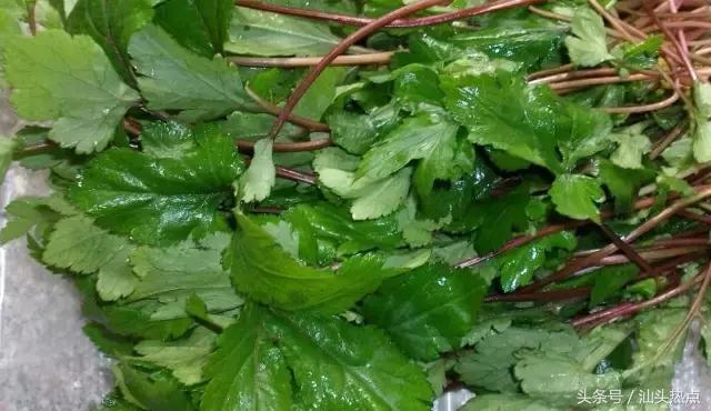 潮汕吃货,潮汕人夏天必备美食