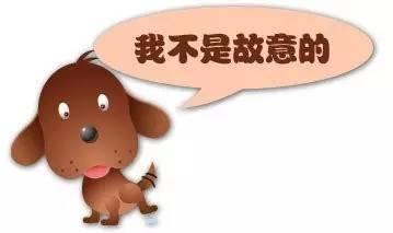 磕碰扭伤如何处理,小孩手被烫伤大水泡破了怎么办