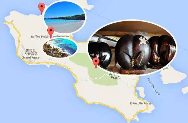 去塞舌尔用不用护照,塞舌尔护照免签国2024