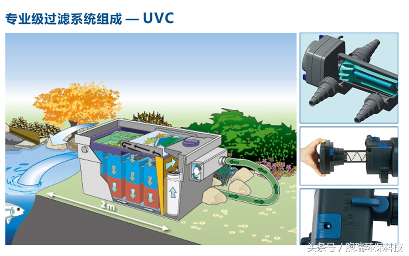 锦鲤鱼池生态循环过滤,锦鲤鱼池过滤系统视频