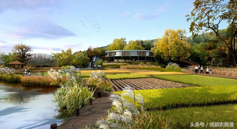 创业门道：国内外都走红的“田园综合体”未来很风光