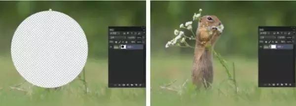 如何用ps蒙版功能练线条,如何用ps蒙版抠图