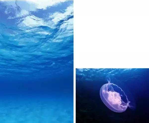 如何用ps蒙版功能练线条,如何用ps蒙版抠图