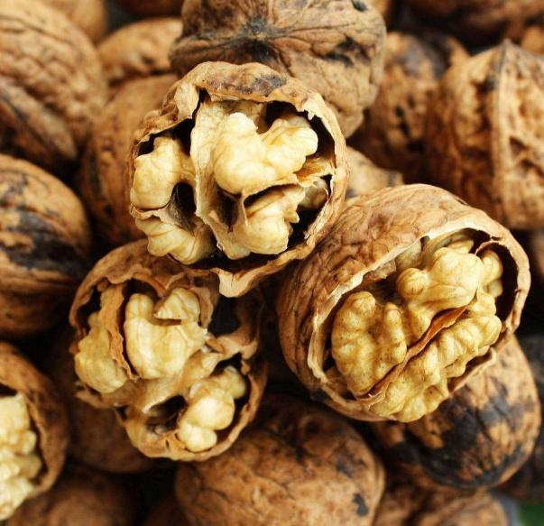 新疆阿克苏主要盛产什么干果,中国盛产的干果有哪些