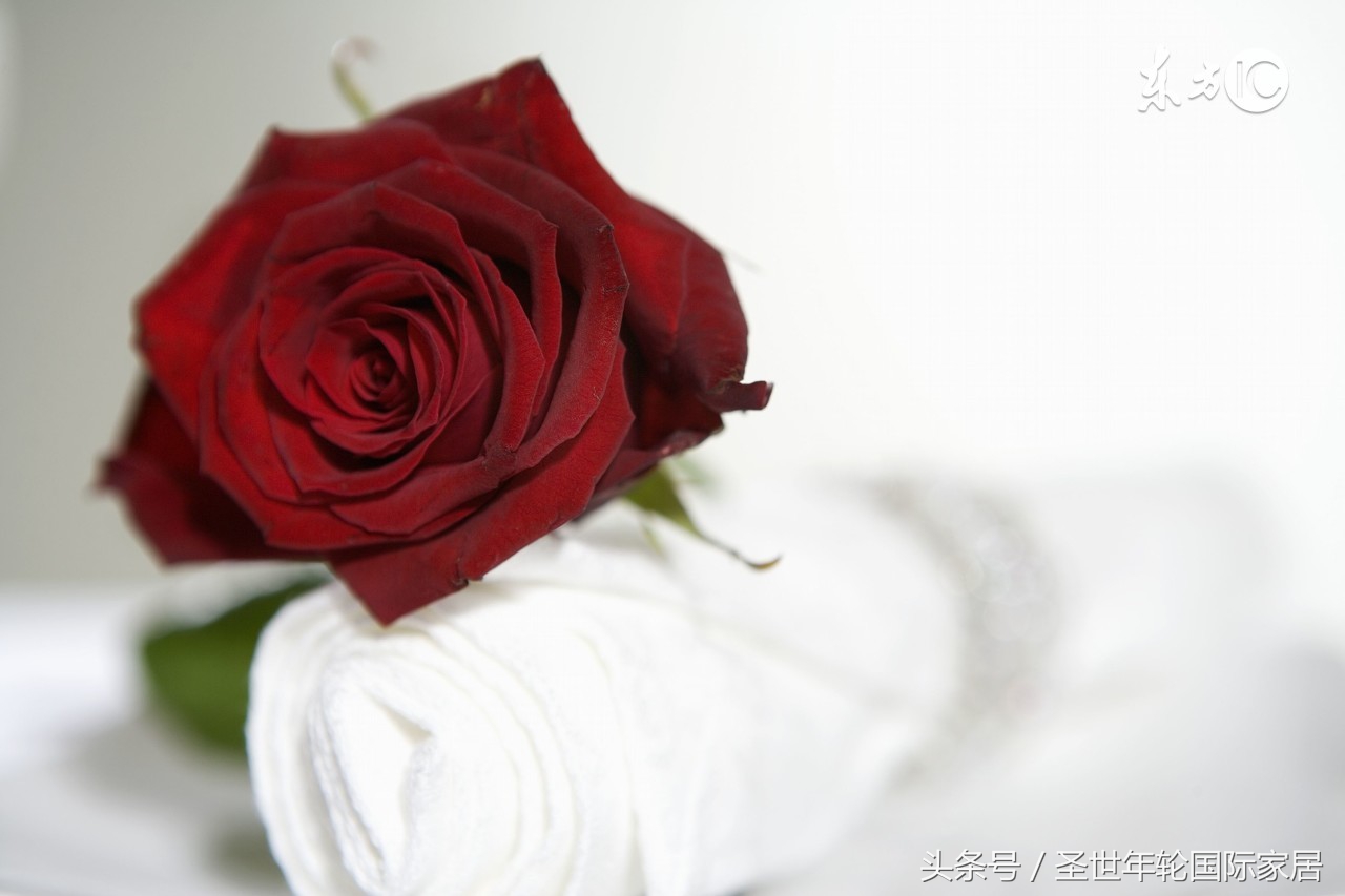 情*香迷**颂梦寐塞纳河与你尽享优雅浪漫