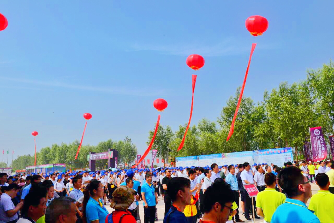 邢台广宗,葡萄王来了
