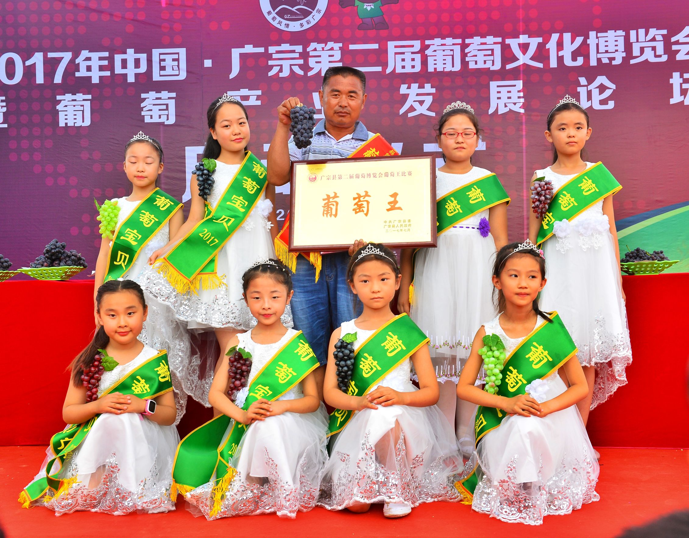 邢台广宗,葡萄王来了