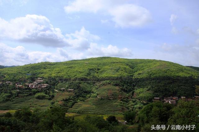 云南玉溪峨山彝人谷万亩竹海竹炭,彝人谷竹海攻略