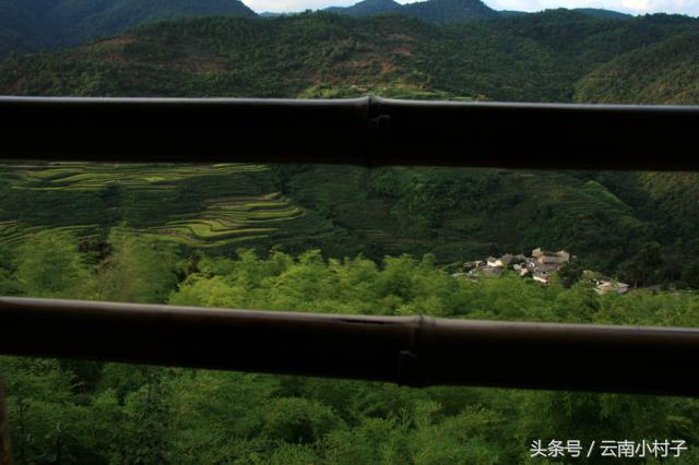 云南玉溪峨山彝人谷万亩竹海竹炭,彝人谷竹海攻略