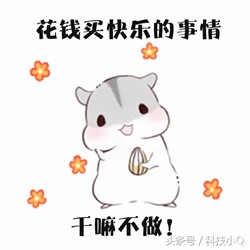 中国海关严查各种代购,防止代购假货的方法