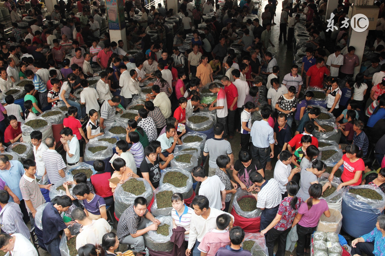 铁观音是不是福建的茶,产地是安溪的铁观音就是正宗的吗