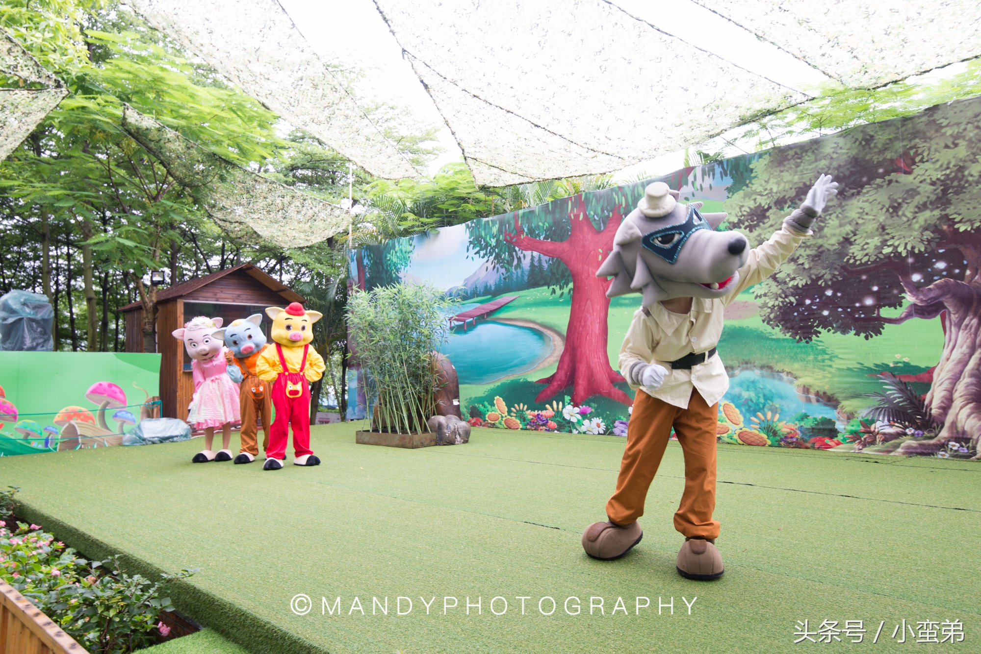 广州周边不为人知的宝藏景点,广州水上乐园旅游景点推荐