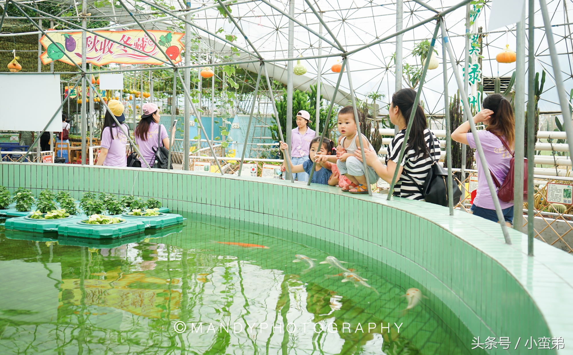 广州周边不为人知的宝藏景点,广州水上乐园旅游景点推荐