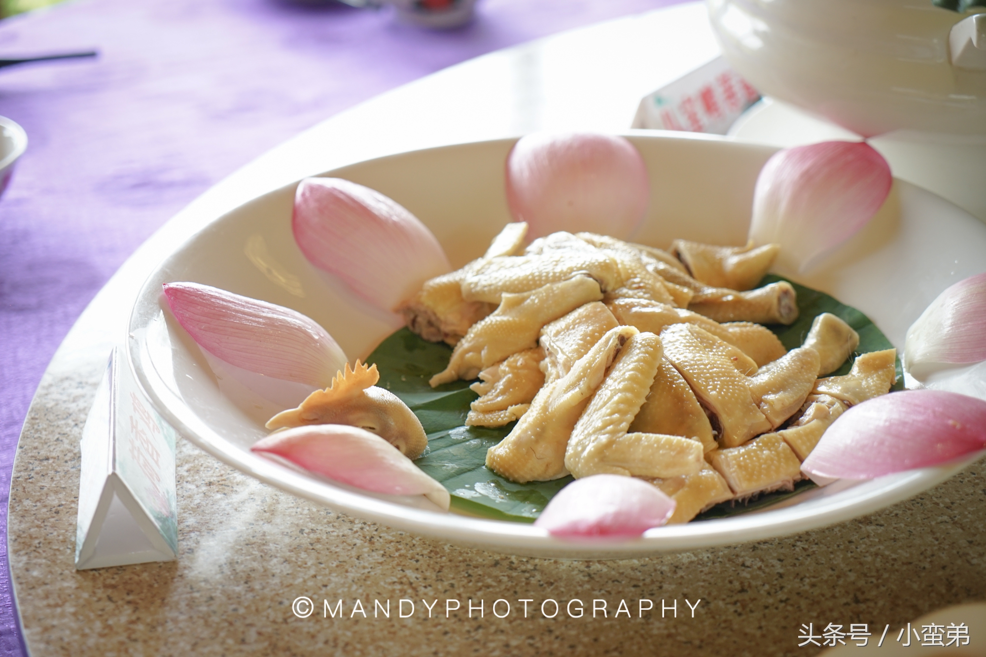 广州周边不为人知的宝藏景点,广州水上乐园旅游景点推荐