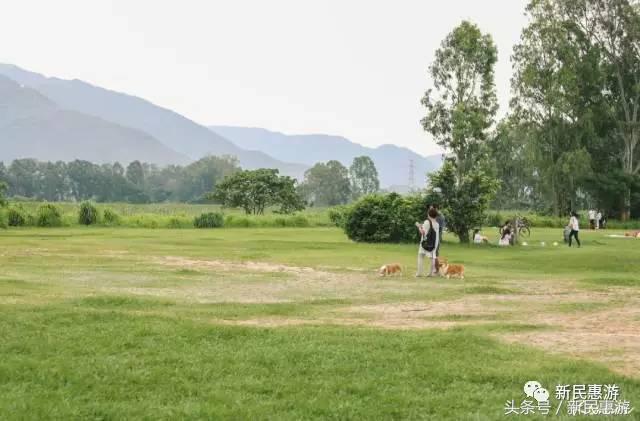 元朗最值得去的地方,元朗特色