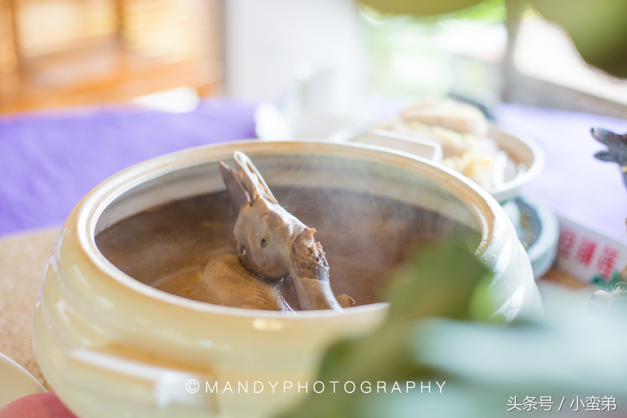 广州周边不为人知的宝藏景点,广州水上乐园旅游景点推荐