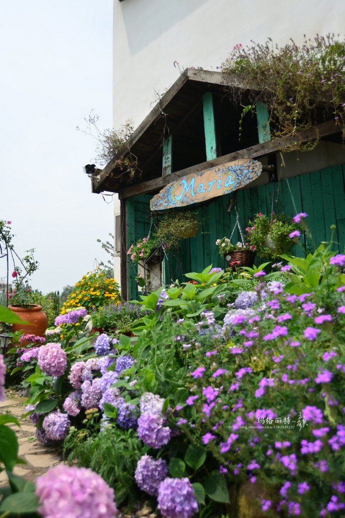 花园拜访,成都玛莉亚色彩花园电话