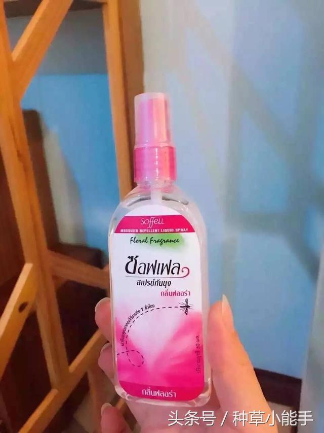 草单:翻包!我的日常包包里究竟装着什么?