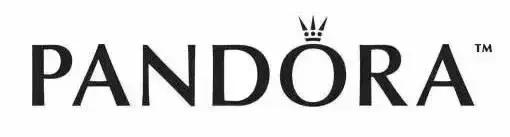潘多拉Pandora:一个卖银的,凭什么让全球明星都爱它?