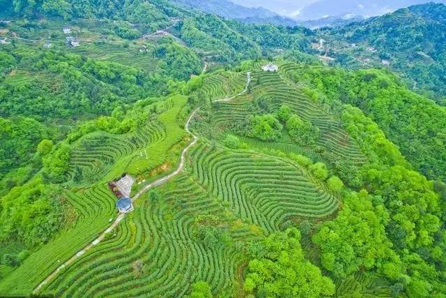 宜昌周边适合避暑的古镇,宜昌小众避暑景点